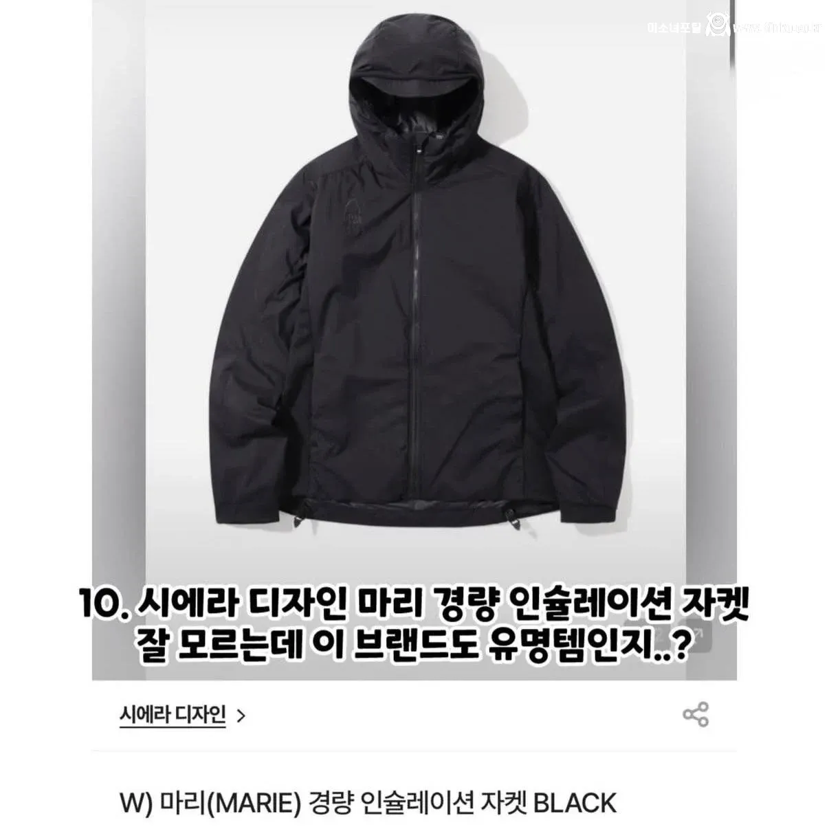 강아지 실종한 견주의 후원금 사용내역 논란