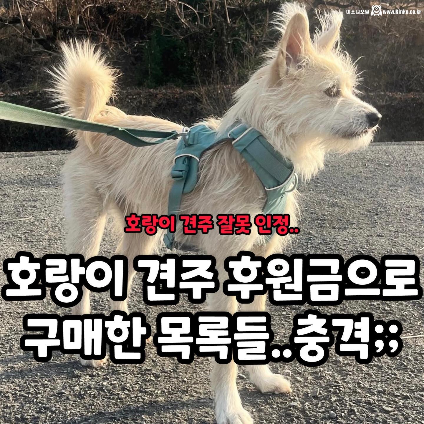 강아지 실종한 견주의 후원금 사용내역 논란
