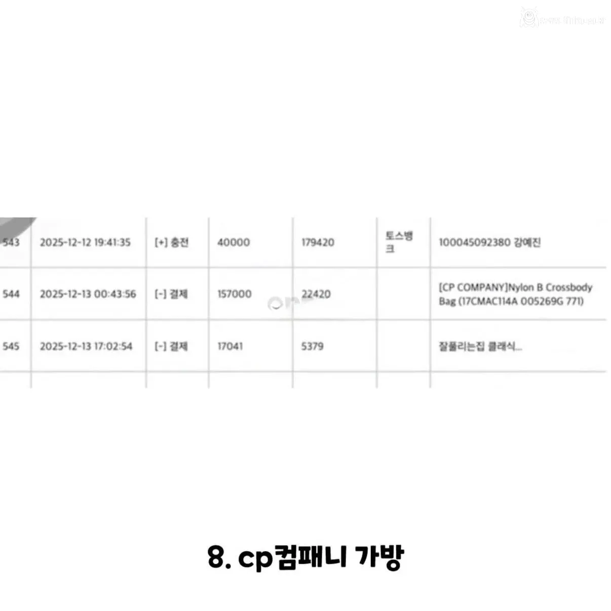 강아지 실종한 견주의 후원금 사용내역 논란