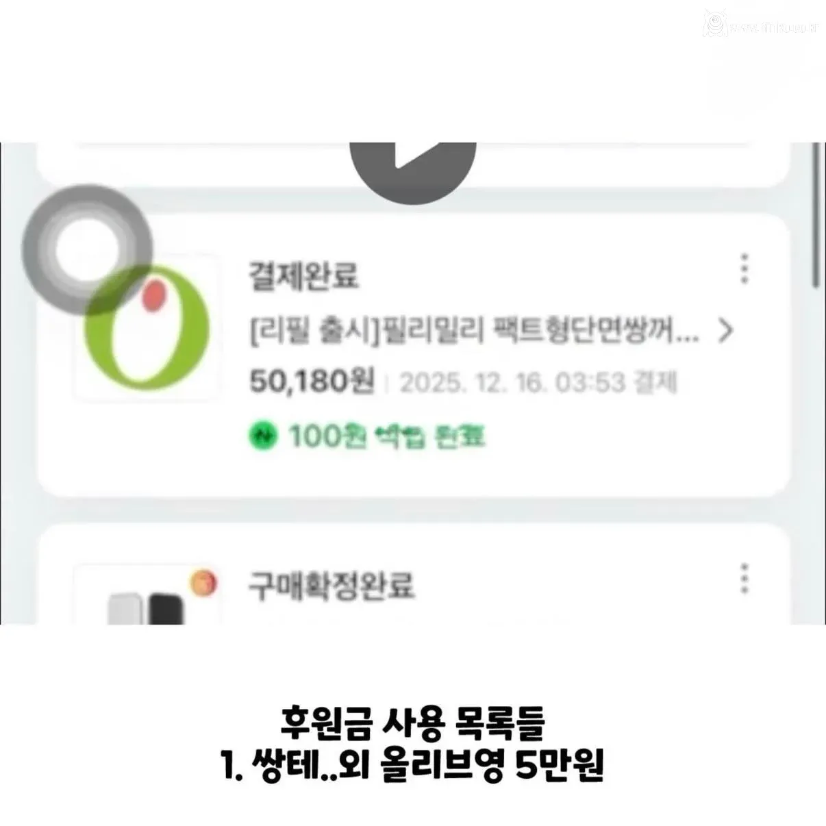 강아지 실종한 견주의 후원금 사용내역 논란
