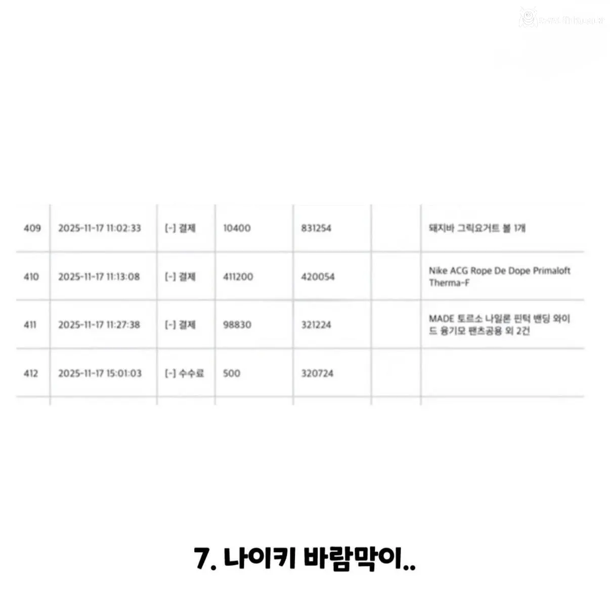 강아지 실종한 견주의 후원금 사용내역 논란