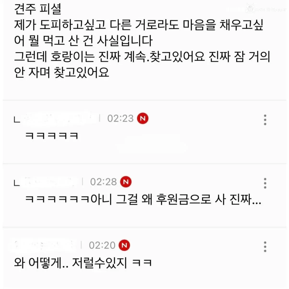 강아지 실종한 견주의 후원금 사용내역 논란