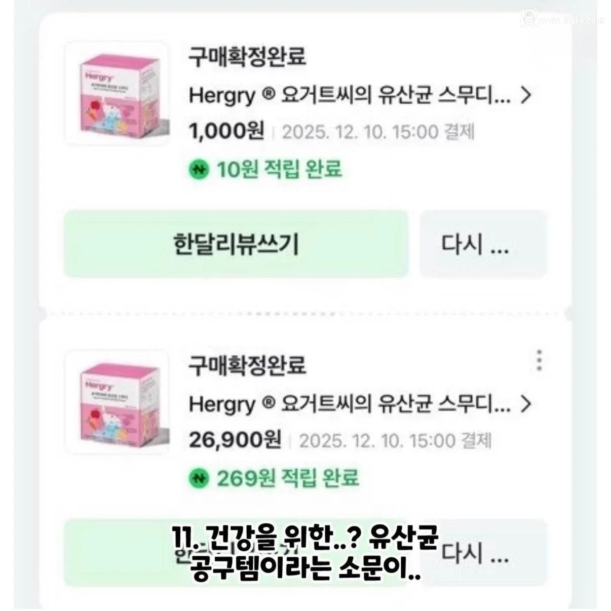 강아지 실종한 견주의 후원금 사용내역 논란