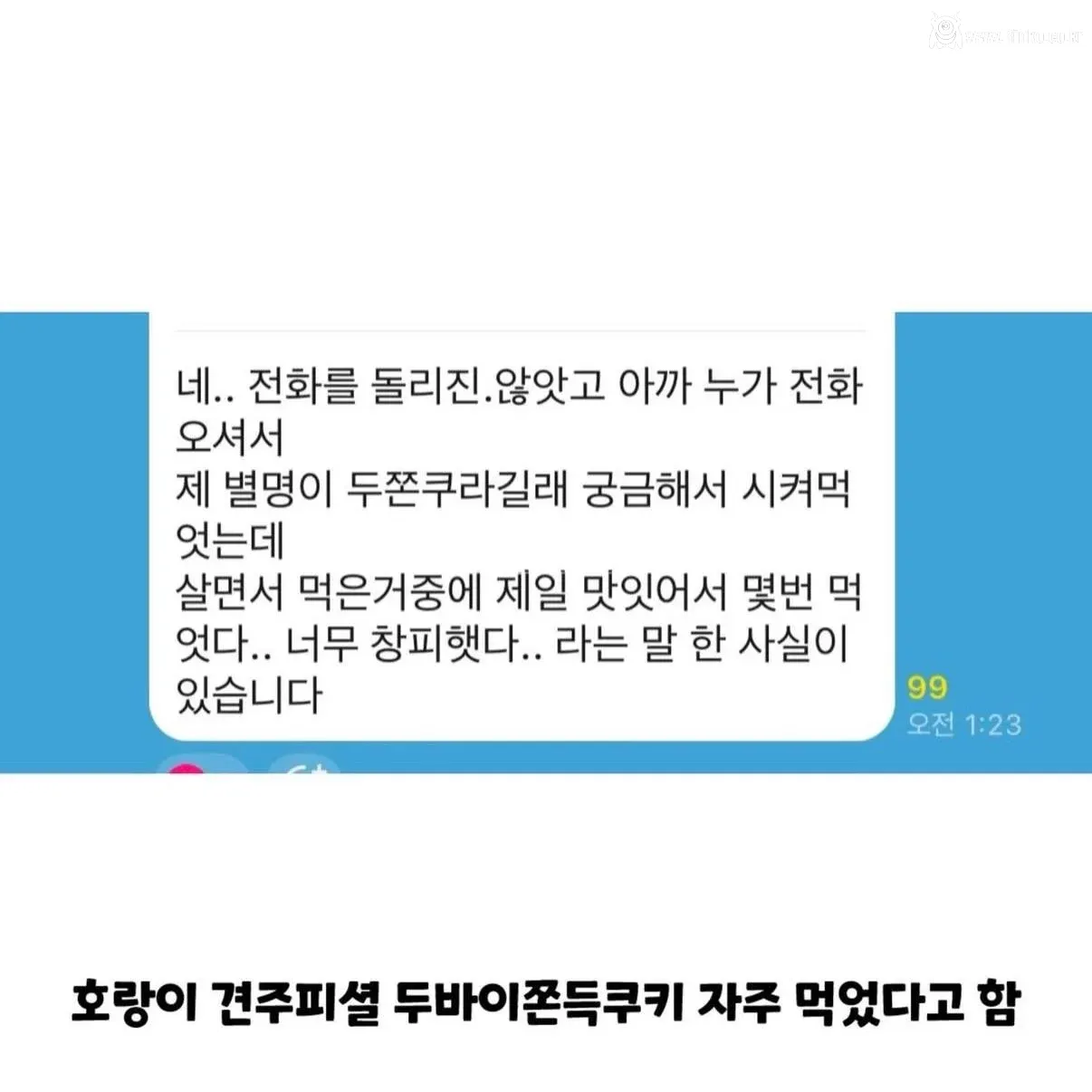 강아지 실종한 견주의 후원금 사용내역 논란