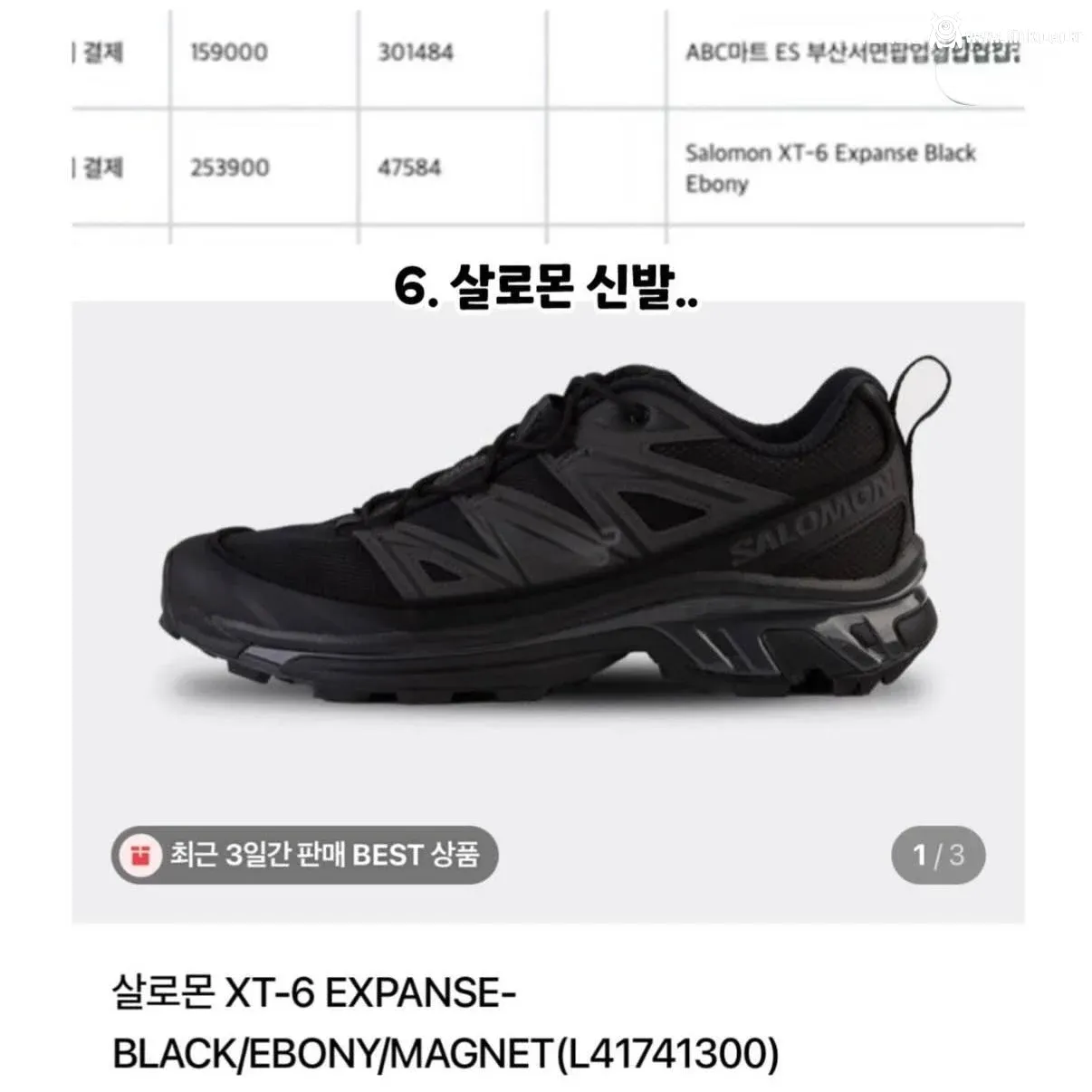 강아지 실종한 견주의 후원금 사용내역 논란