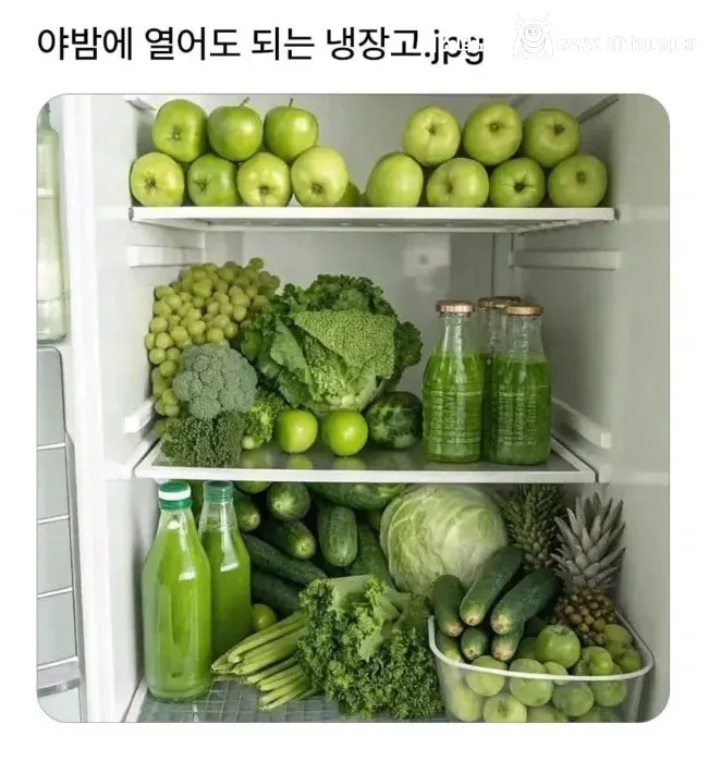 야밤에 열어도 된다는 냉장고