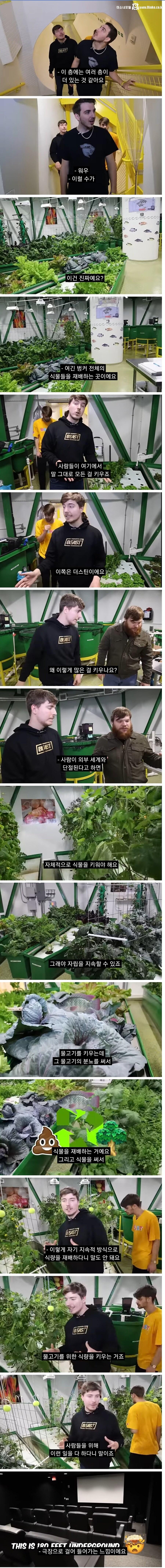 기후변화로 인류 멸망을 감지한 부자들 근황