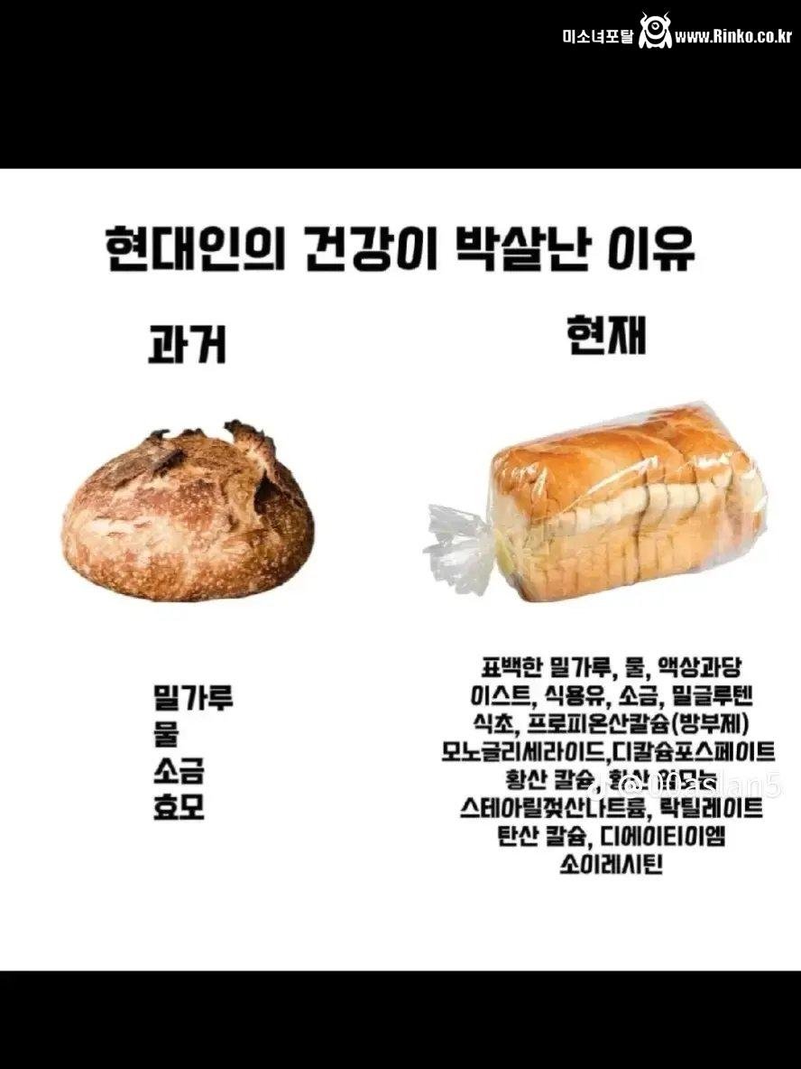 현대인의 건강이 박살난 이유