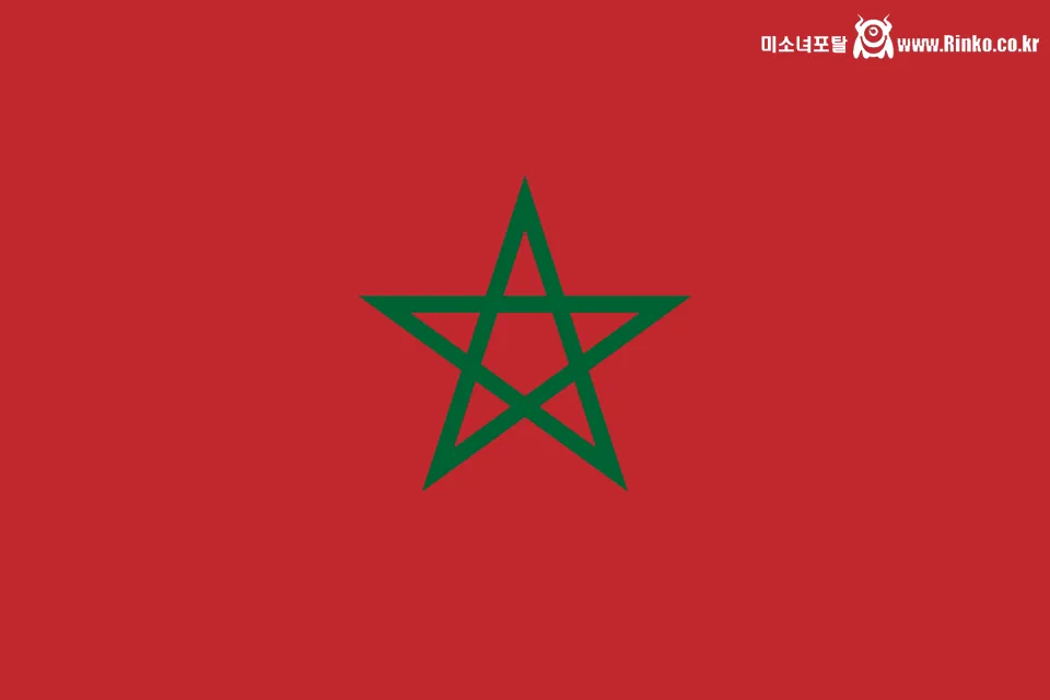 모로코 한국산 K2 전차 400대 & 천궁 등 무기 구매 검토