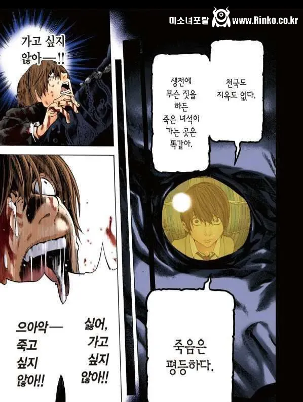 호불호 갈린다는 데스노트 라이토 최후