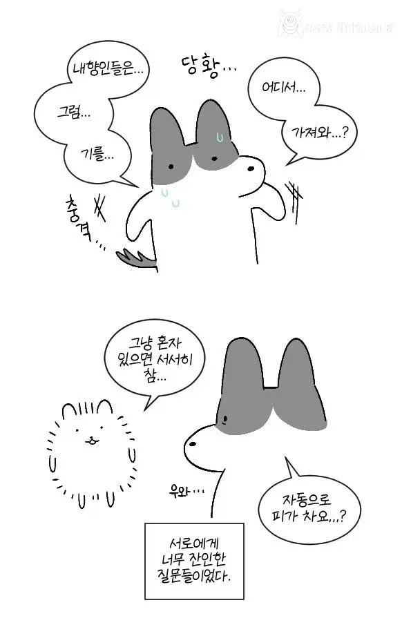 자신을 내향인이라 착각한 외향인