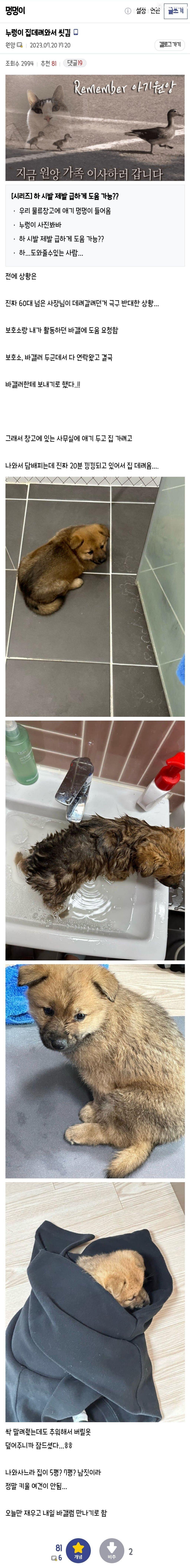 우리 회사 물류창고에 애기 멍멍이 들어옴