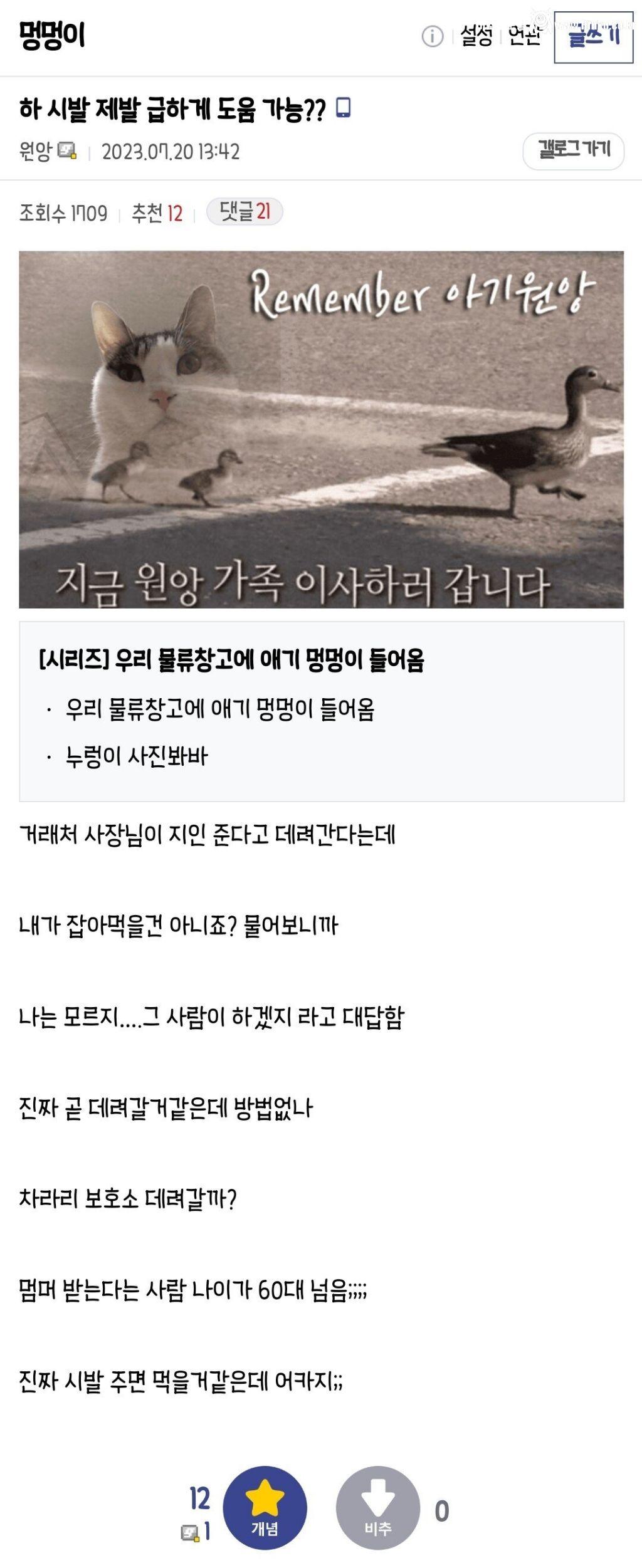 우리 회사 물류창고에 애기 멍멍이 들어옴