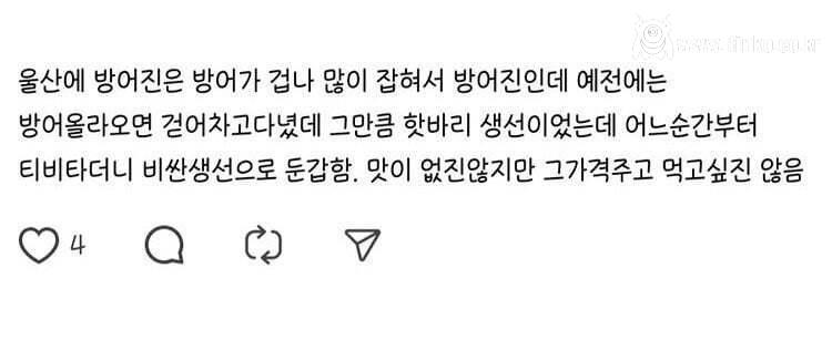 최근 고평가 논란에 휩싸인 생선회