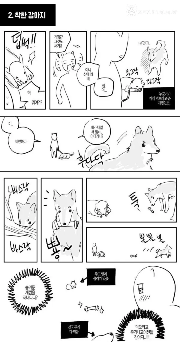 산책중에 만난 길 안내 해주던 유기견