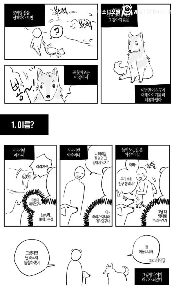 산책중에 만난 길 안내 해주던 유기견