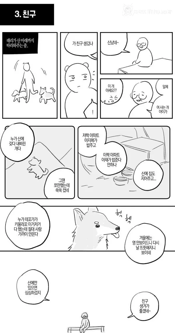 산책중에 만난 길 안내 해주던 유기견