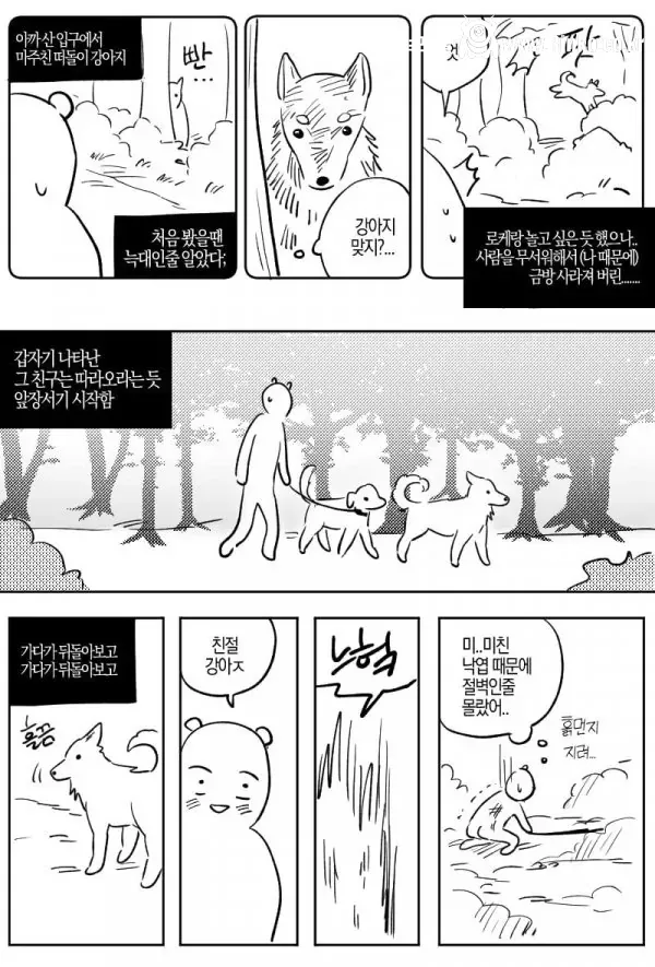 산책중에 만난 길 안내 해주던 유기견