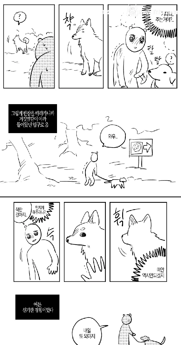 산책중에 만난 길 안내 해주던 유기견