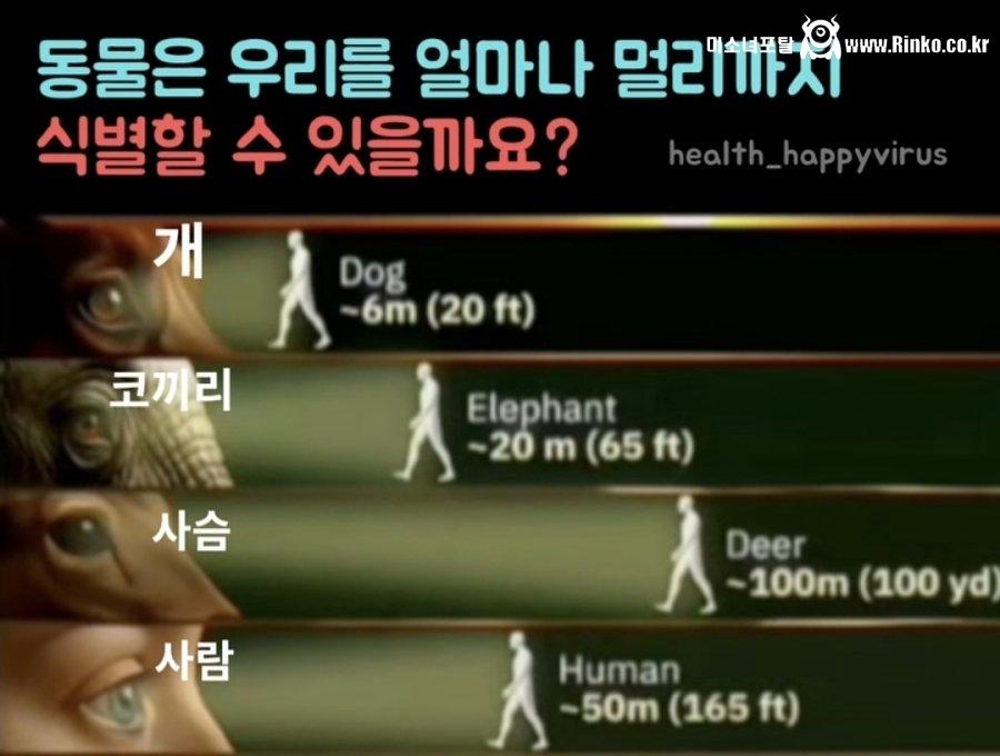 동물이 인간을 식별할 수 있는 최대 거리