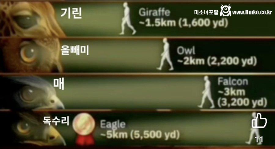 동물이 인간을 식별할 수 있는 최대 거리