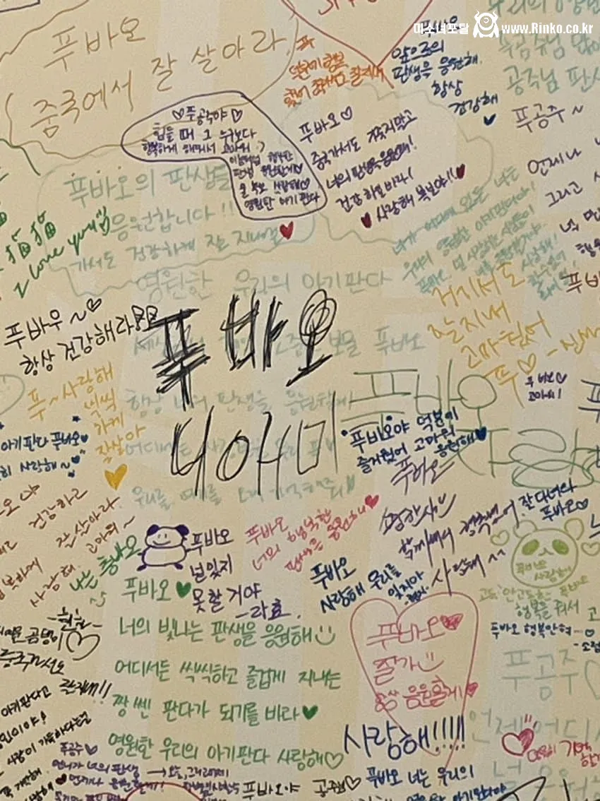 푸바오 열풍 예전에 욕했는데..