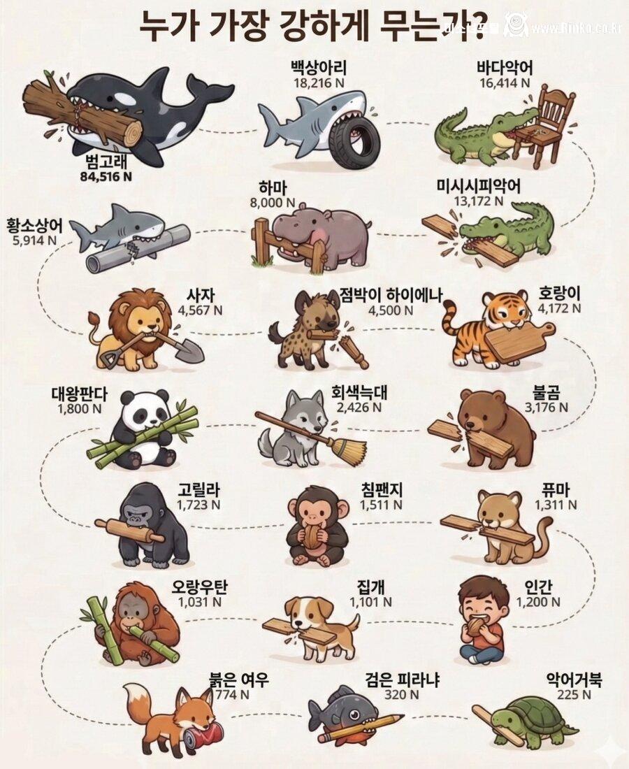 무는 힘이 강한 동물 순위