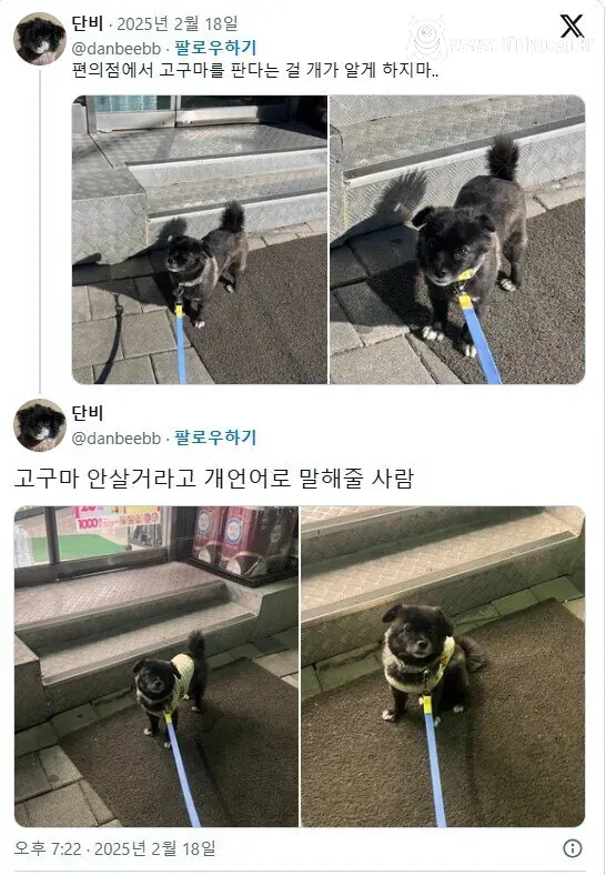 절대 강아지한테 편의점 고구마를 주지마!!!