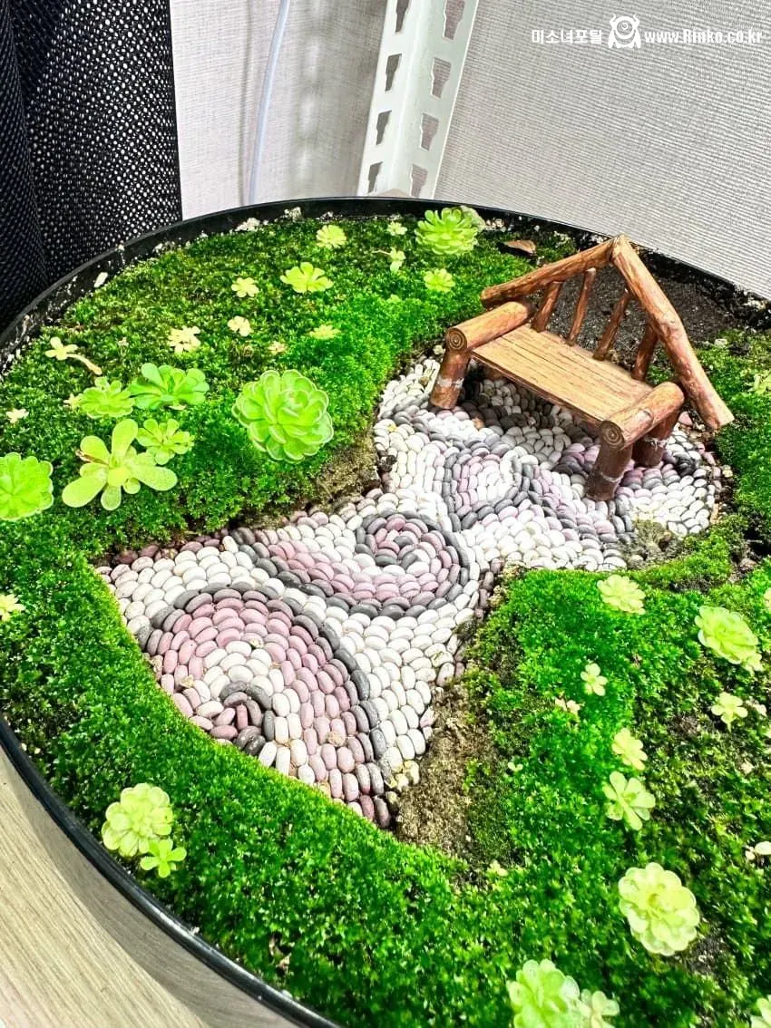 작은 정원 자랑하는 디씨인