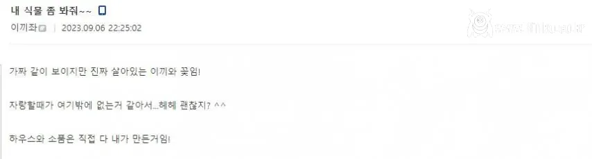 작은 정원 자랑하는 디씨인