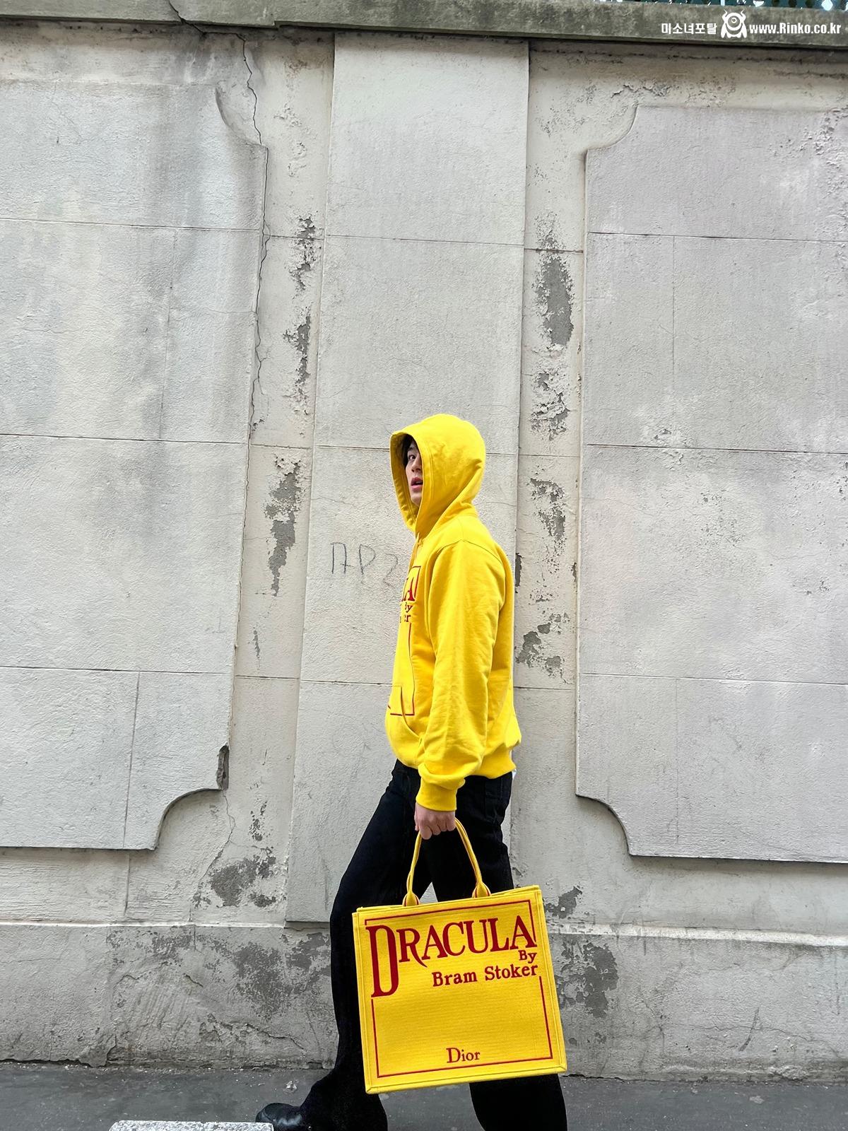 신상 가방도 충격적으로 구린 디올