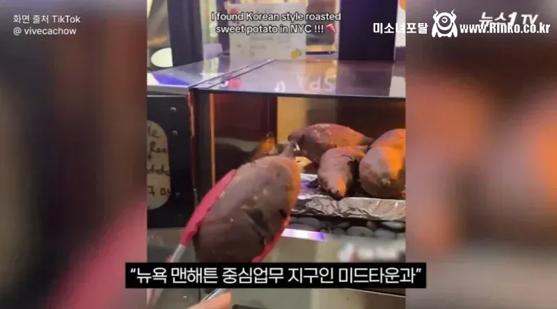 뉴욕 사람들이 K-군고구마에 빠진 이유