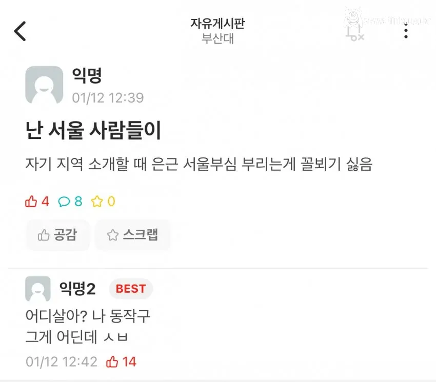 서울 사람 꼴보기 보기 싫은 이유 올라온 부산대 에타