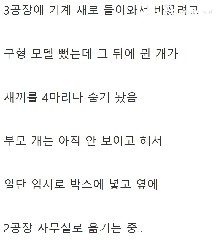 오늘자 중소기업 마스코트 근황