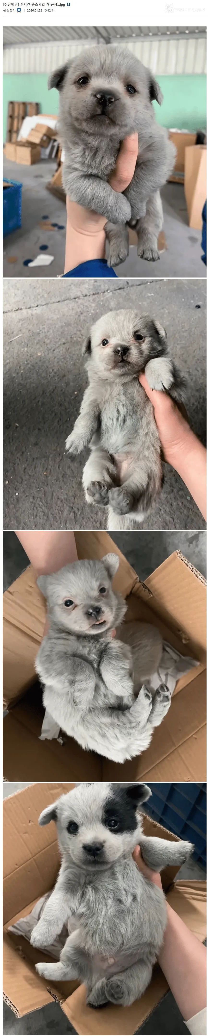 오늘자 중소기업 마스코트 근황