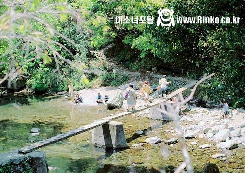 이쯤에서 지나고보니 그리운 ㅅㄲ