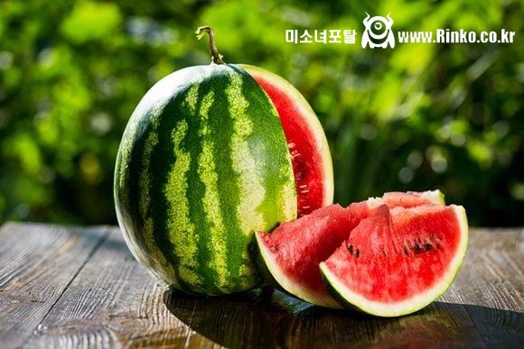 이쯤에서 지나고보니 그리운 ㅅㄲ