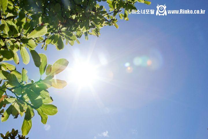 이쯤에서 지나고보니 그리운 ㅅㄲ