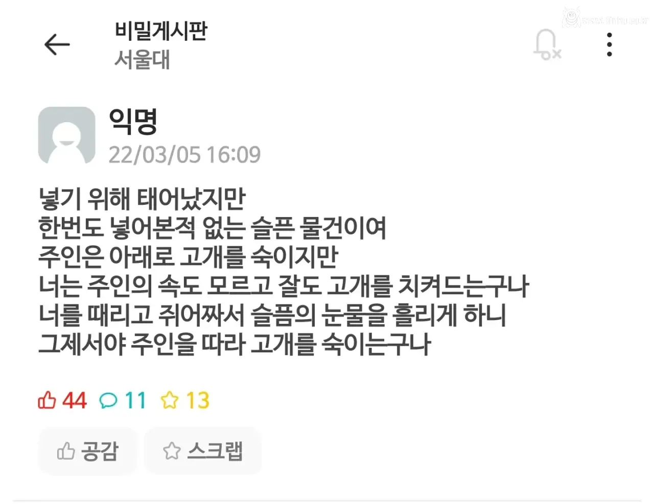 서울대학교 모솔아다 시인