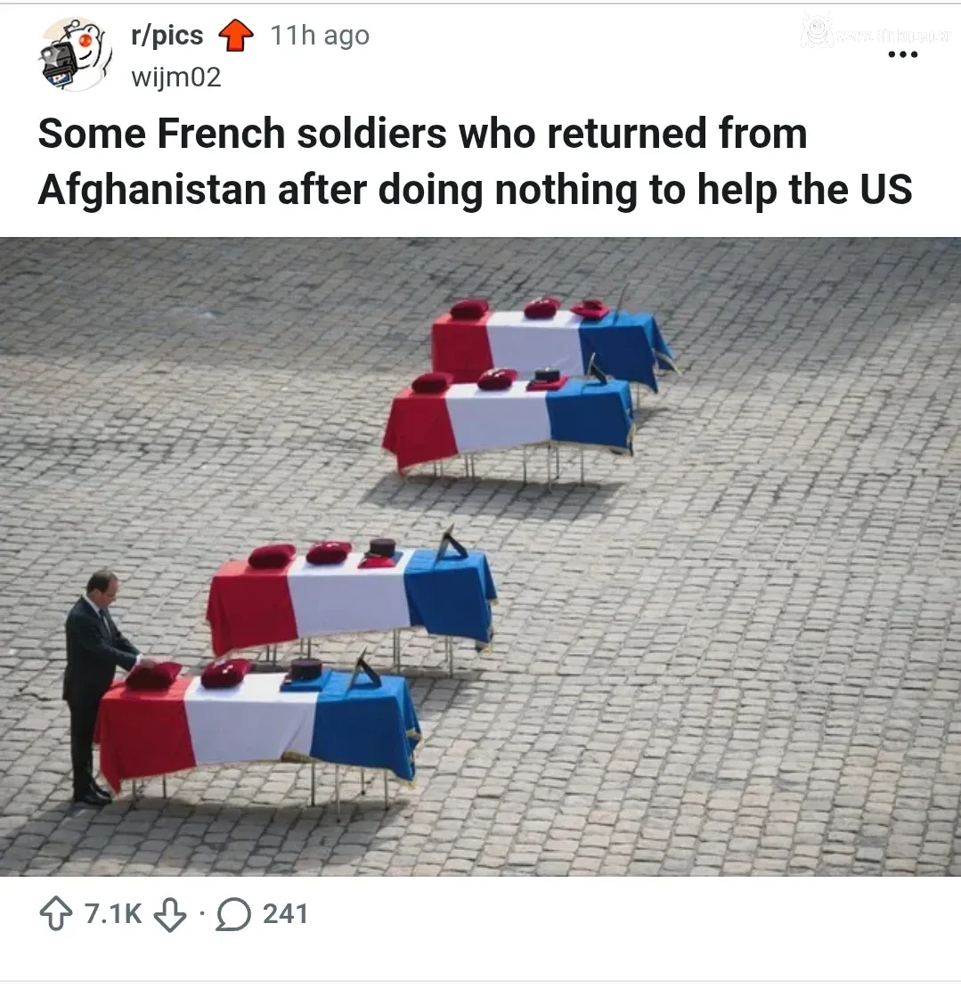 최근 레딧을 비롯해서 영어권 커뮤에 뜨고 있는 밈