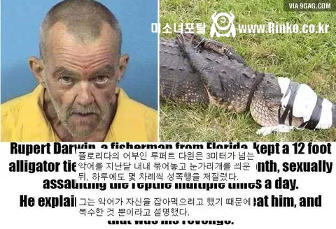 어떤 남자가 악어를 성폭행한 이유 ㄷㄷ