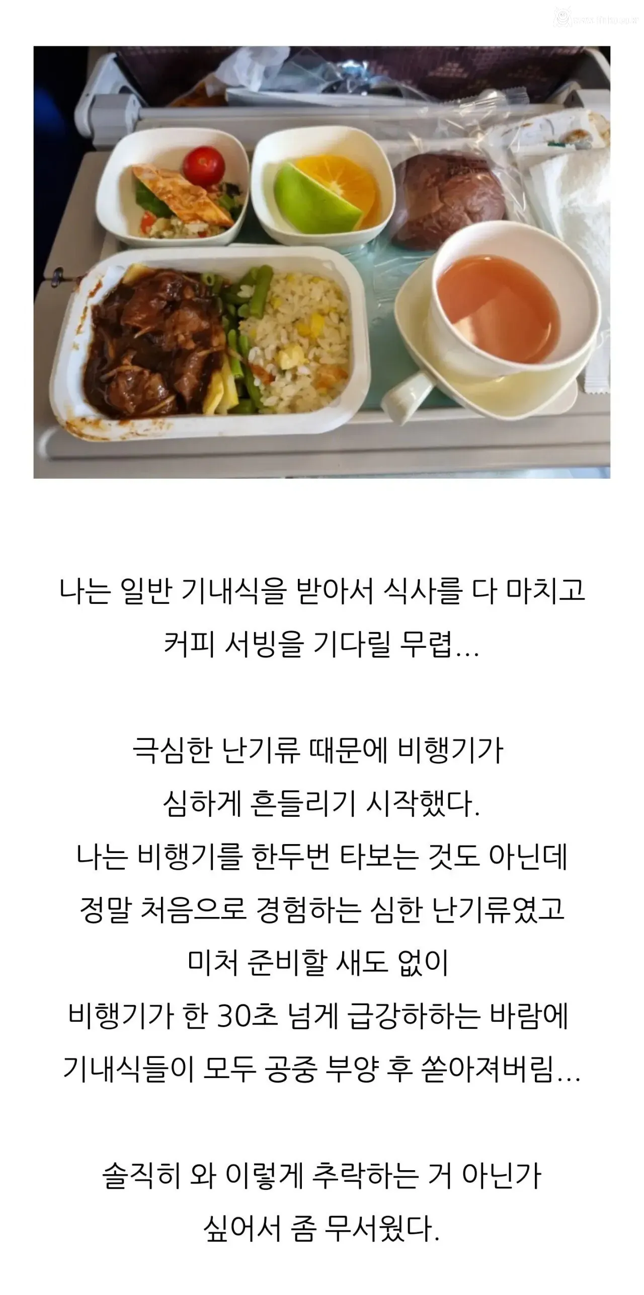 대한항공 몽골행 난기류 경험담
