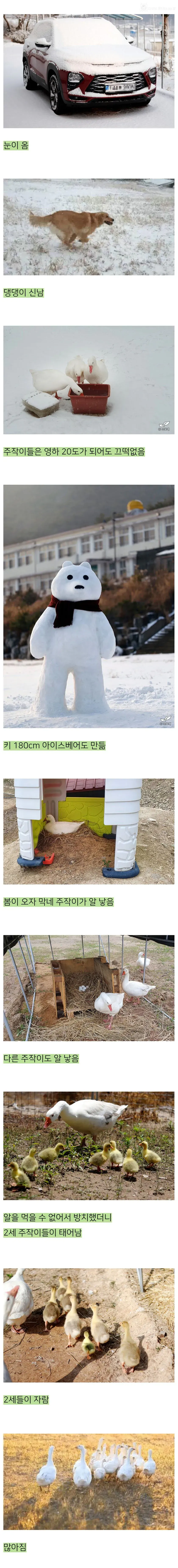 옳게 된 낭만 블로거