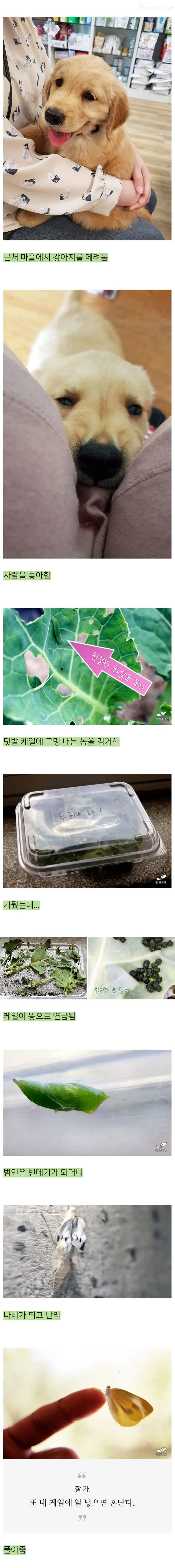 옳게 된 낭만 블로거