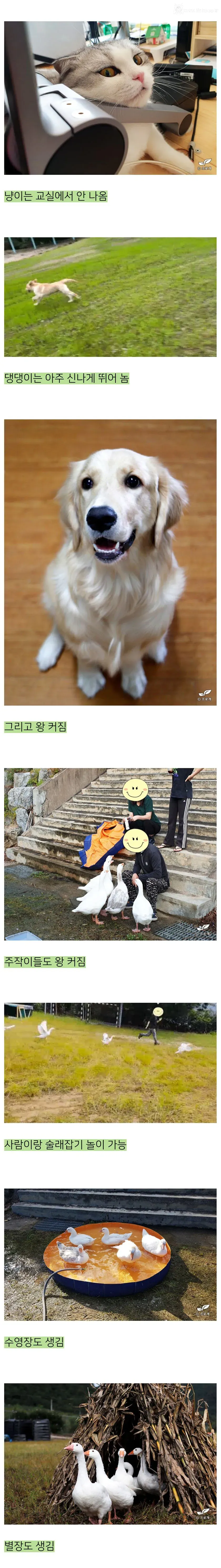 옳게 된 낭만 블로거