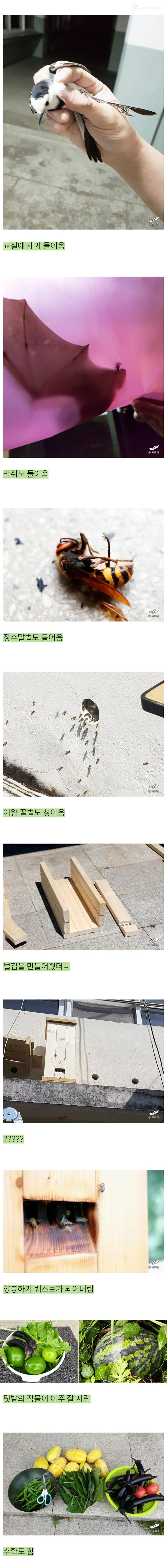 옳게 된 낭만 블로거