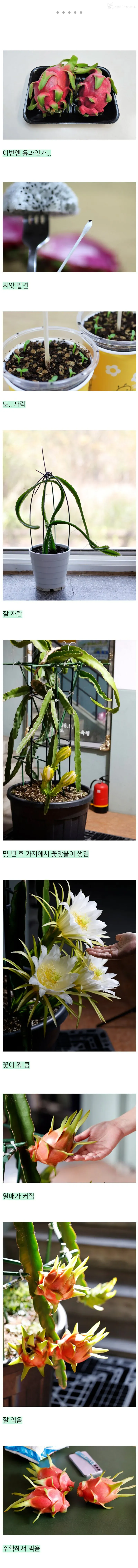 뭐든 다 키우는 블로거