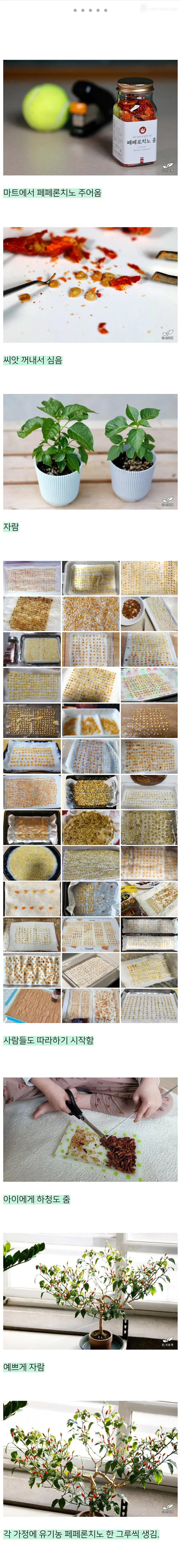 뭐든 다 키우는 블로거