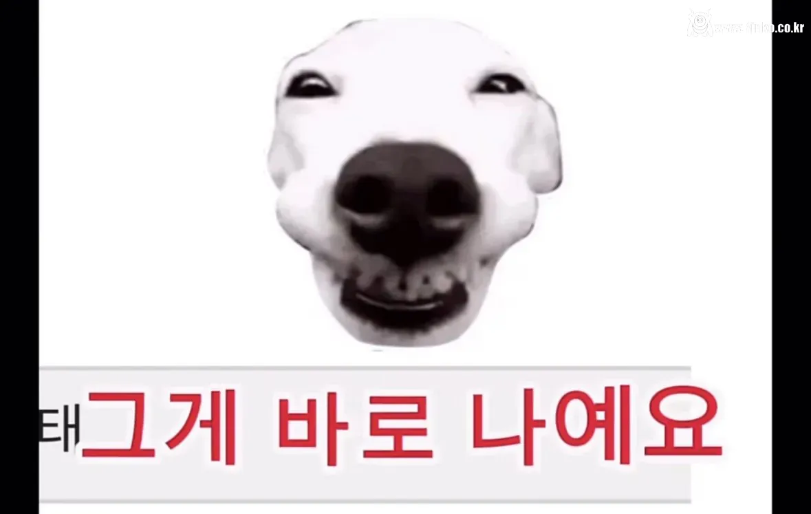 대학생 때 연봉 1억 찍다가 AI 때문에 강제 은퇴당한 여대생