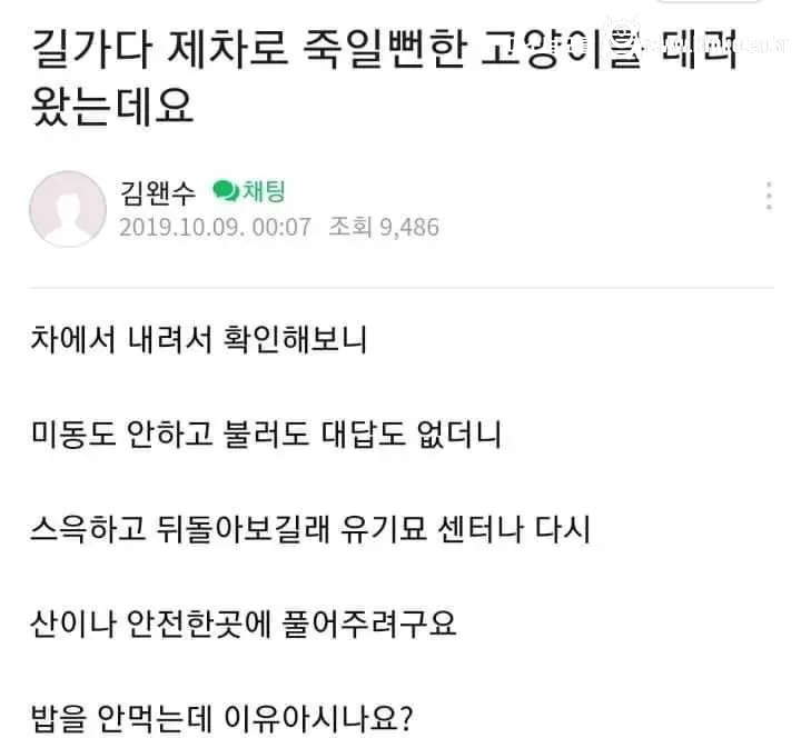 동물을 한번도 키워본적이 없는게 확실한 사람